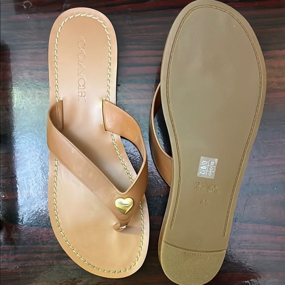 Coach Saddle Ellis LTR THNG - Picture 10 of 13